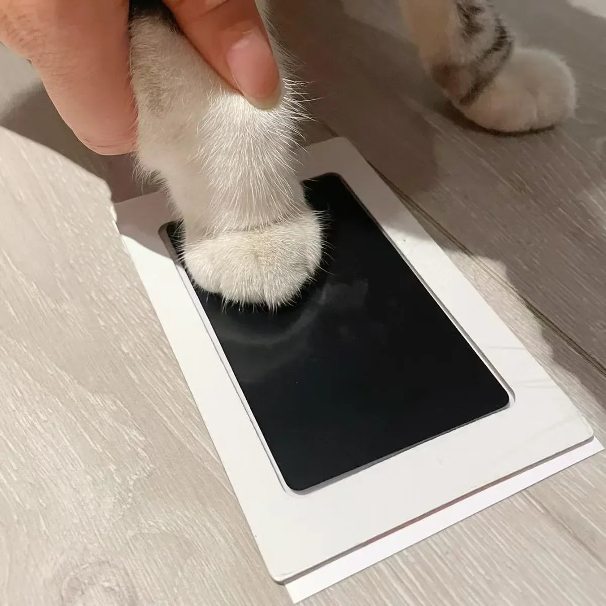 Safe, Non-Toxic, No Mess Pawprint Inkpad for Lasting Memories